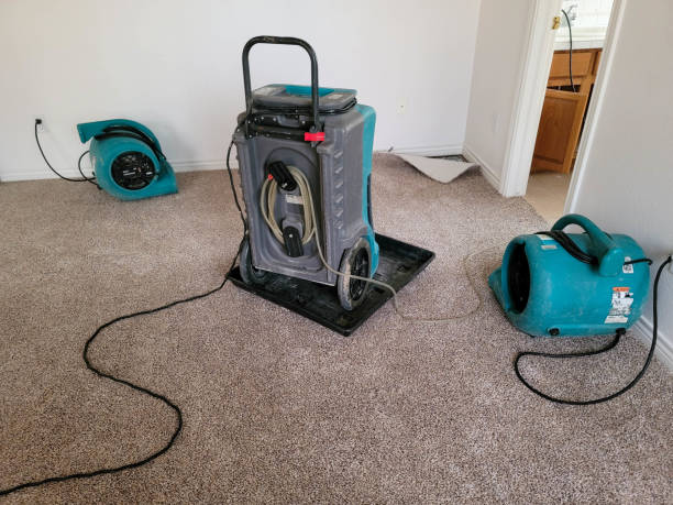 Best Carpet water damage restoration  in Elk Point, SD