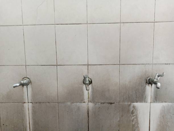 Best Water damage restoration near me  in Elk Point, SD